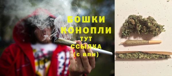ГАЛЛЮЦИНОГЕННЫЕ ГРИБЫ Пересвет