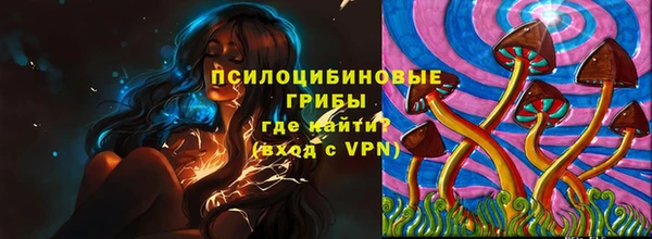 ГАЛЛЮЦИНОГЕННЫЕ ГРИБЫ Пересвет