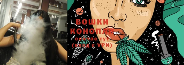 ГАЛЛЮЦИНОГЕННЫЕ ГРИБЫ Пересвет