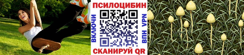 Галлюциногенные грибы Magic Shrooms  KRAKEN как войти  Приморско-Ахтарск 