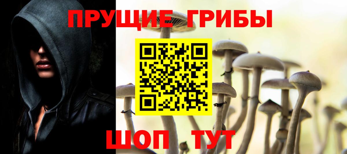 Псилоцибиновые грибы Cubensis  Псилоцибиновые грибы мицелий  Приморско-Ахтарск  Вход с VPN 